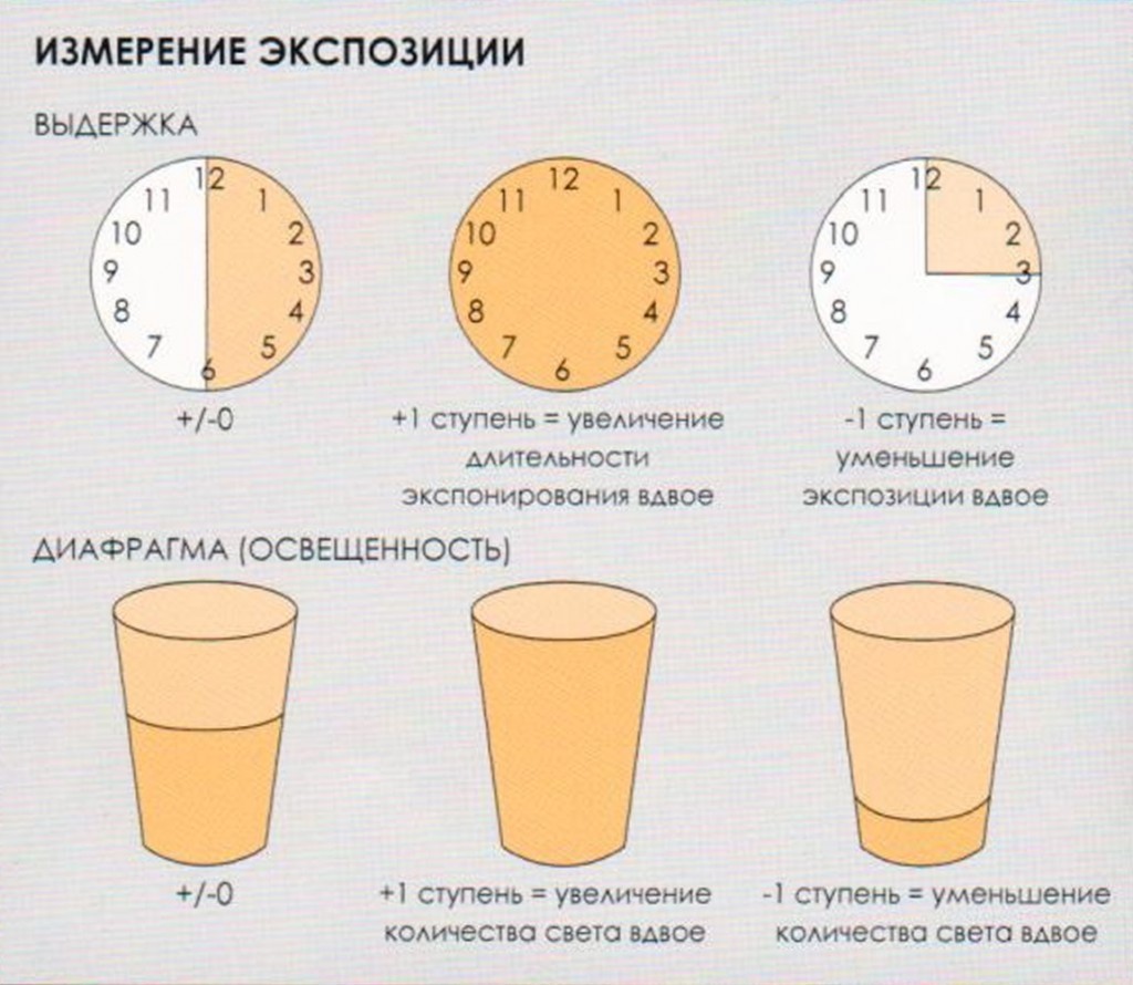 Что такое выставочная деятельность презентация. Направление выставочной деятельности. Характер экспозиции. Типы музейных экспозиций. Характер экспозиции.