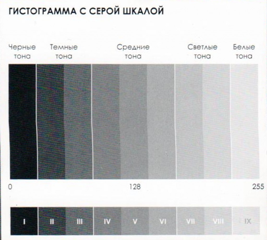 Гистограмма черно белого изображения