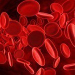 Анализ крови может рассказать о жизни человека в старости