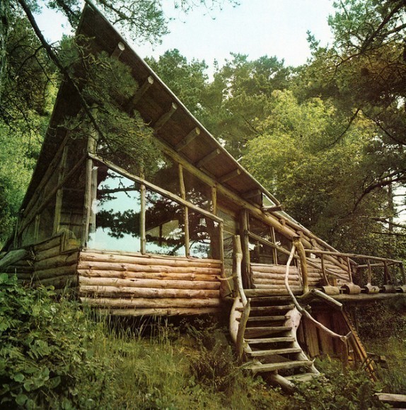 дом-в -лесу1