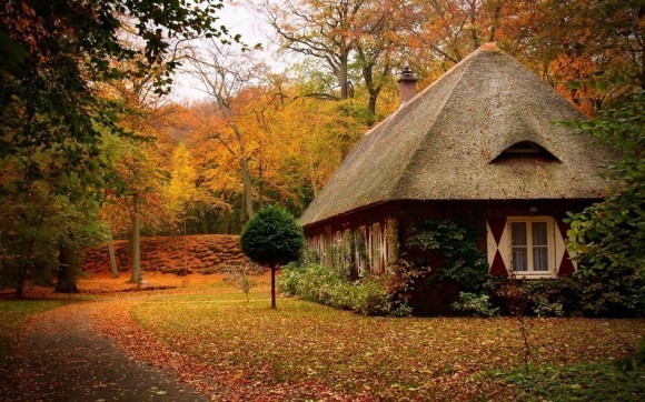 лесной-дом