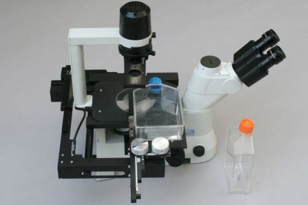 эпифлуориесцентный микроскоп