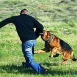 Что такое ультразвуковой отпугиватель собак и какой у него принцип работы?