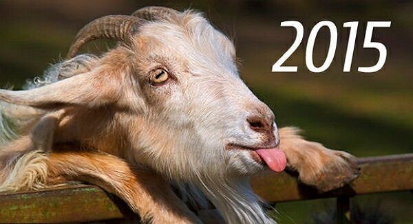 Новый год 2015 год козы