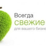 Точка.ru: особенности деятельности компании