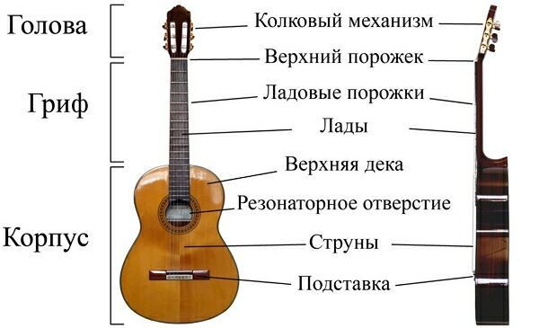 строение гитары