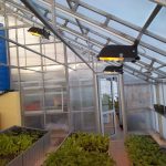 Теплицы вегетарий, - геотермальные технологии на службе закрытого грунта Теплицы вегетарий, - геотермальные технологии на службе закрытого грунта