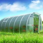 Применение Поликарбоната поликарбонат_теплица