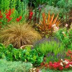 Многолетние растения: что посадить на своем участке?