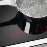 Особенности ремонта варочных поверхностей Электролюкс