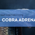 Советники Форекс