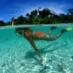 Что такое снорклинг: где приобретать товары для своего увлечения? Что такое снорклинг: где приобретать товары для своего увлечения?