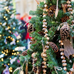 Выбираем елку на Новый Год