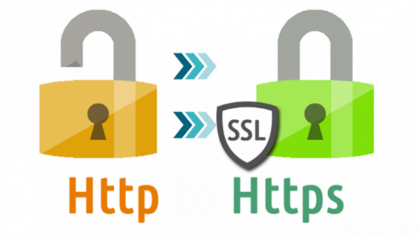 Как правильно выбрать SSL-сертификат