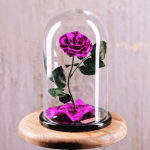 Роза в Колбе