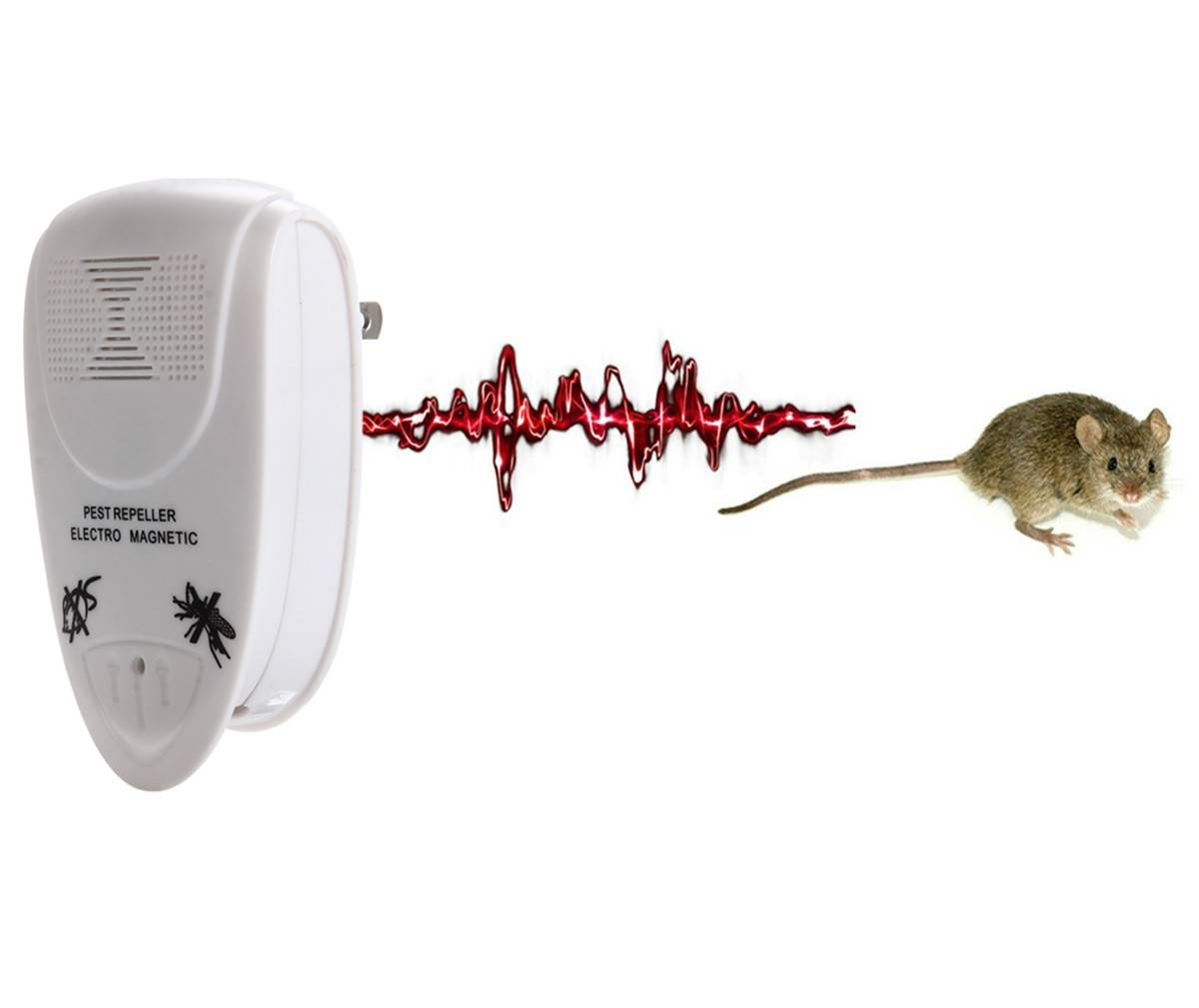 Звуки крыс и мышей слушать