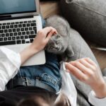 Английский язык для начинающих - с чего начинать