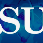 Домен в зоне SU: что необходимо знать Домен в зоне SU: что необходимо знать