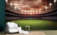 Эффект стадиона у вас дома 5 шагов к идеальному просмотру важного матча