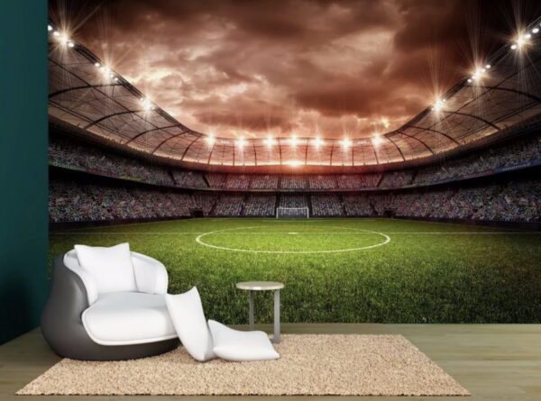 Эффект стадиона у вас дома 5 шагов к идеальному просмотру важного матча
