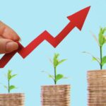 Ставки по валютным и рублевым вкладам какой вклад выбрать в условиях нестабильного курса