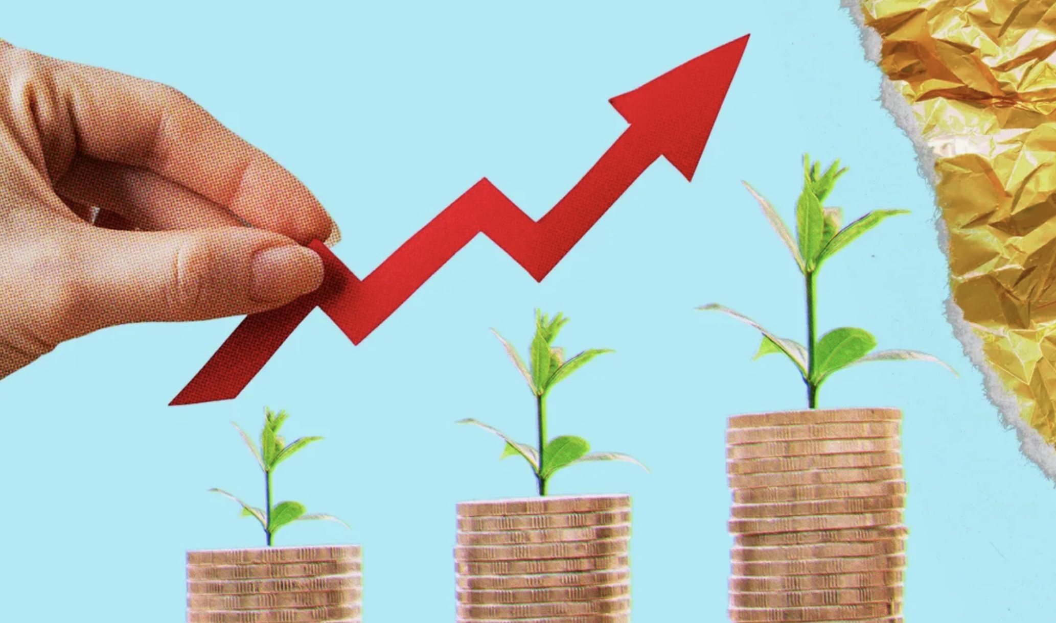 Ставки по валютным и рублевым вкладам: какой вклад выбрать в условиях нестабильного курса