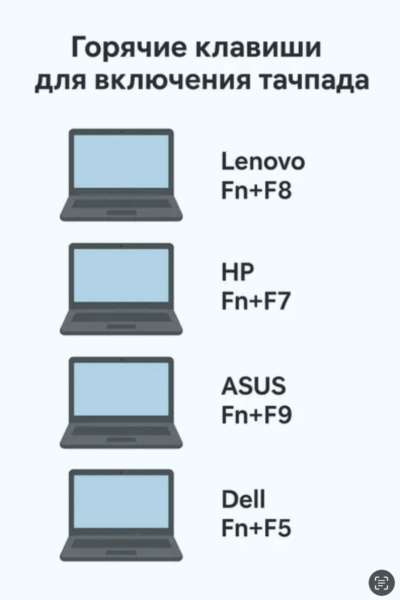 Как разблокировать тачпад на ноутбуке