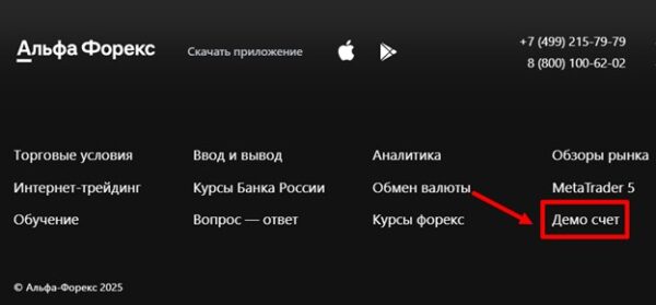 Для чего нужен демосчёт на бирже и как им пользоваться