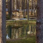 Загородный отдых в лесу: как выбрать формат для спокойных выходных Загородный отдых в лесу: как выбрать формат для спокойных выходных