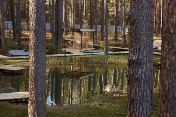 Загородный отдых в лесу: как выбрать формат для спокойных выходных