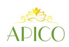 Компания Apico