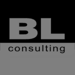 BLcons group консалтинг