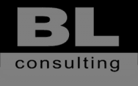 BLcons group консалтинг