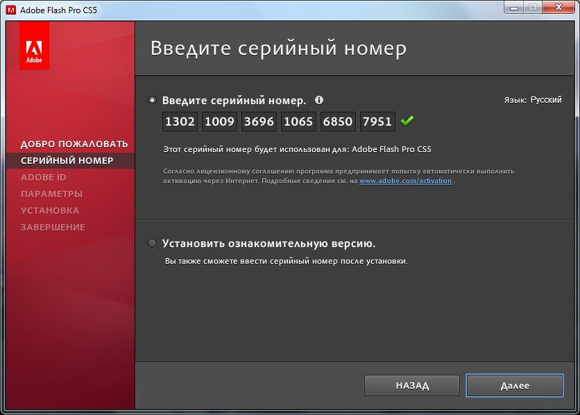 Серийные номер адоб. Серийный номер Adobe. Серийный номер Flash. Серийный номер Adobe Adobe Flash. Серийный номер для Flash professional.