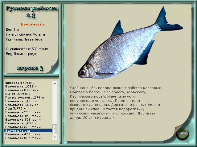 Улов на дону. Рыбалка на дону. Рыбалка река медведица волгоградская область. Рыбалка река медведица волгоградская область. Какая рыба водится в медведице.