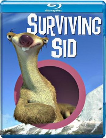 сид инструкция